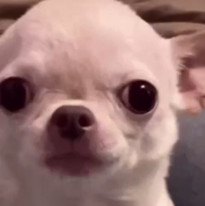 Clara Galvez-Martinez